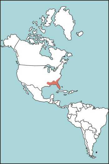 Figure E-11. Eastern Diamondback Rattlesnake Habitat