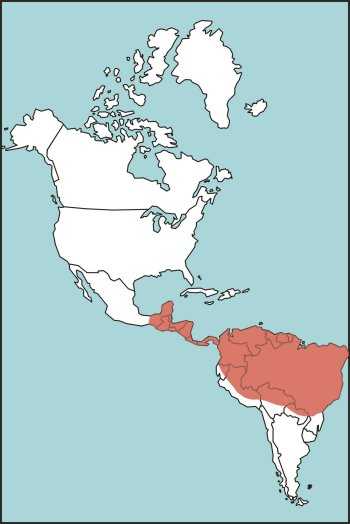 Figure E-13. Fer-de-lance Habitat