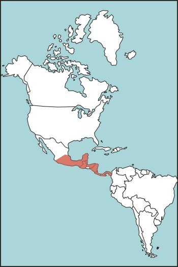 Figure E-14. Jumping Viper Habitat