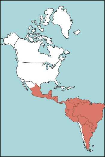 Figure E-16. Tropical Rattlesnake Habitat