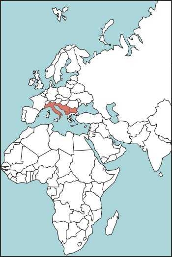 Figure E-19. Long-Nosed Adder Habitat