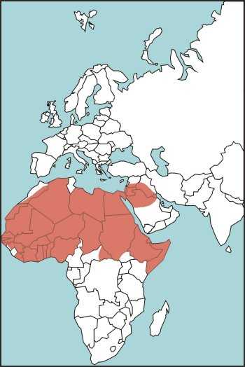 Figure E-30. Horned Desert Viper Habitat