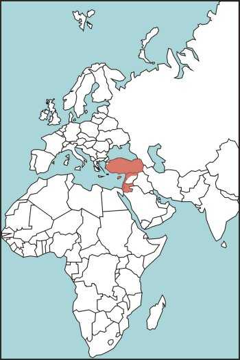 Figure E-37. Palestinian Viper Habitat