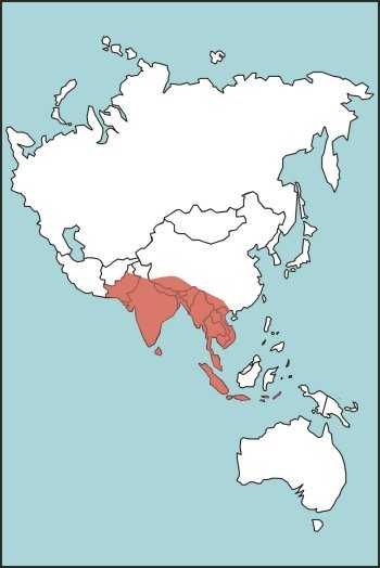 Figure E-40. Russell's Viper Habitat