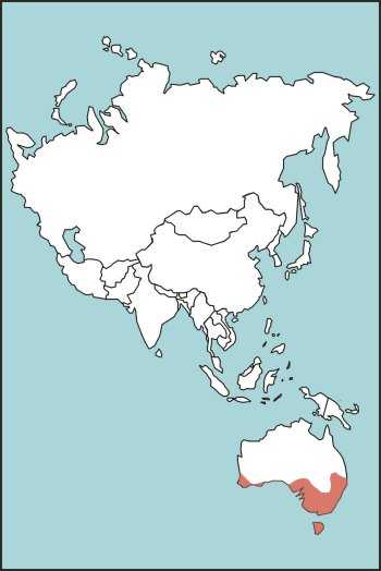 Figure E-47. Tiger Snake Habitat