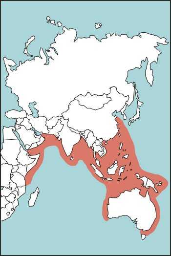 Figure E-48. Banded Sea Snake Habitat