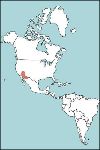 Figure E-50. Gila Monster Habitat