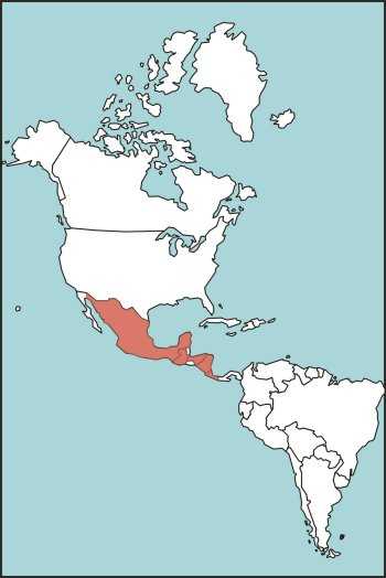 Figure E-51. Mexican Beaded Lizard Habitat