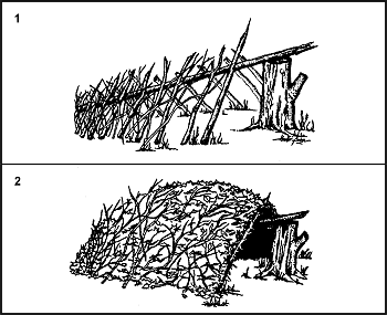 Figure 5-11. Debris Hut