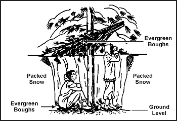 Figure 5-12. Tree-Pit Snow Shelter