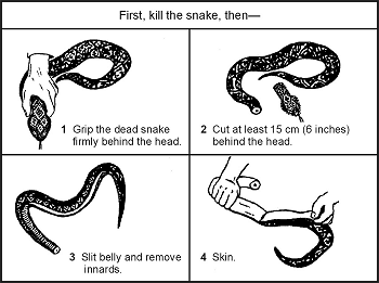 Figure 8-25. Cleaning a Snake