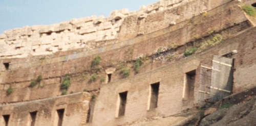 Image:Colosseum-flora.jpg