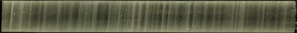 GISP2 ice core at 1837 meters depth with clearly visible annual layers.