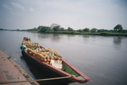 the Magdalena River at Santa Cruz de Mompox.
