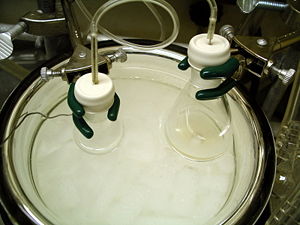 A typical experimental setup for an aldol reaction. A solution of lithium diisopropylamide (LDA) in tetrahydrofuran (THF) (in the flask on the right) is being added to a solution of tert-butyl propionate in the flask on the left, forming its lithium enolate. An aldehyde can then be added to initiate an aldol addition reaction. Both flasks are submerged in a dry ice/acetone cooling bath (-78&nbsp;&deg;C) the temperature of which is being monitored by a thermocouple (the wire on the left).