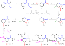 A synthesis designed by E.J. Corey for oseltamivir (Tamiflu®).