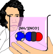 W&ouml;hler observes the synthesis of urea.