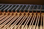 Interior of an upright piano, showing the felt-covered hammers.  The tuning pins can be seen at upper left.  In the treble range shown, each note has three strings.