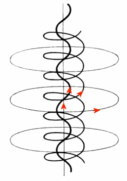 The complex self-constricting magnetic field lines and current paths in a field-aligned Birkeland current which may develop in a plasma