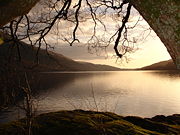 Loch Lomond in Scotland forms a relatively isolated ecosystem. The fish community of this lake has remained unchanged over a very long period.