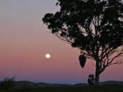 Moon against the Belt of Venus