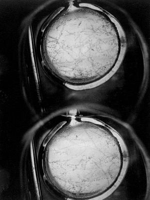 First tracks observed in liquid hydrogen bubble chamber at the Bevatron.