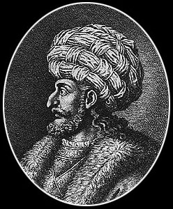 Image:Ac.saladin.jpg