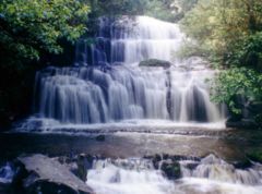 Purakaunui Falls, 17&nbsp;km (11&nbsp;mi) southwest of Owaka