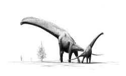 Brachiosaurus brancai