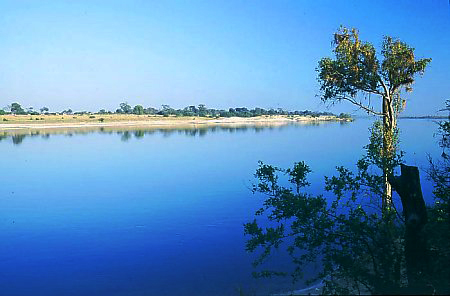 Image:Zambezi River near Zambezi Town.jpg