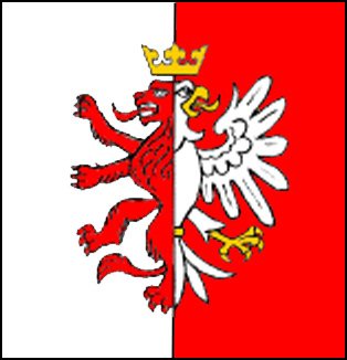 Image:Flaga Leczyca.jpg