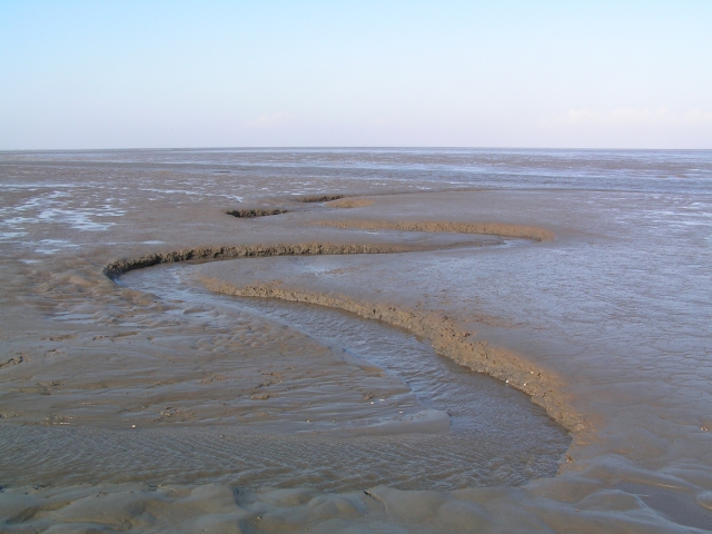 Image:Tidal flats.jpg
