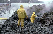 The Exxon Valdez spilled 10.8&nbsp;million gallons of oil into Alaska's Prince William Sound.