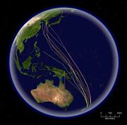The routes of satellite tagged Bar-tailed Godwits migrating north from New Zealand. This species has the longest known non-stop migration of any species, up to 10,200&nbsp;km (6,300&nbsp;mi).