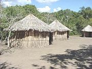 Ta&iacute;no Village at the Tibes Ceremonial Center