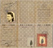 Two sides of a WWII 'Ausweis' or 'persoonsbewijs' (identification)