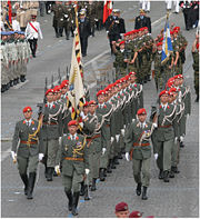 Austrian Guard Company on parade - July 14th 2007, Champs Elys&eacute;es, Paris.