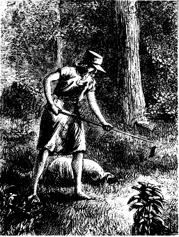 Johnny Appleseed, Harper&rsquo;s New Monthly Magazine, 1871