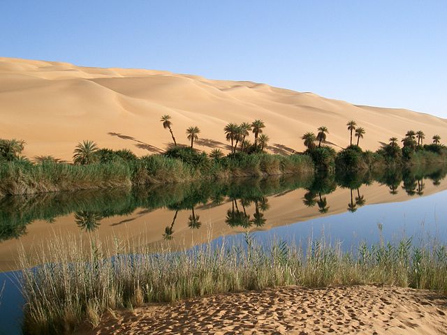 Image:Oasis in Lybia.JPG