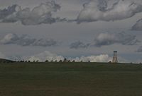 Reenactment of Mongol military movement.