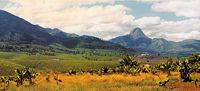 Mount Murresse and tea plantations near Gur&uacute;&egrave;, Zambezia Province, northern Mozambique.