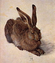 Albrecht D&uuml;rer, A Young Hare, 1502, Watercolor, Albertina, Vienna.