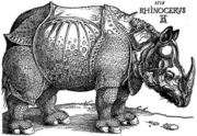 D&uuml;rer's Rhinoceros, woodcut, 1515.