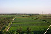 Farmlands in Hebei province. Hundreds of millions of Chinese still depend on the agricultural sector for their livelihood.