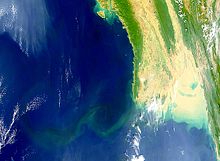 The Irrawaddy Delta, which is approximately 50,400&nbsp;km&sup2; (19,500&nbsp;sq&nbsp;mi) in area, is largely used for rice cultivation.