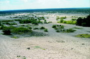 Błęd&oacute;w Desert, the only desert in Poland