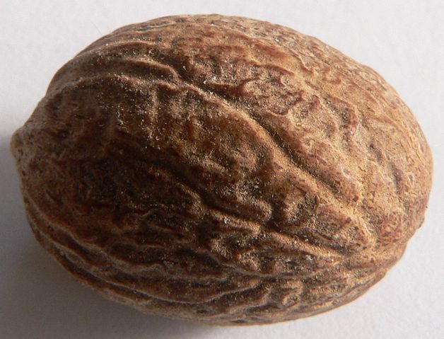 Image:Nutmeg p1160003.jpg