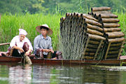 Fishermen with traditional fish traps, H&agrave; T&acirc;y, Vietnam