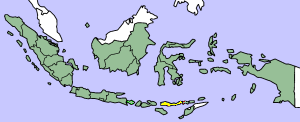 &nbsp;&nbsp;&nbsp;&nbsp;&nbsp;Flores is the island highlighted in yellow. The territory of Indonesia as a whole is in green.