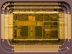 Die of an Intel 80486DX2 microprocessor (actual size: 12&times;6.75&nbsp;mm) in its packaging.